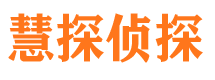 台江市侦探公司